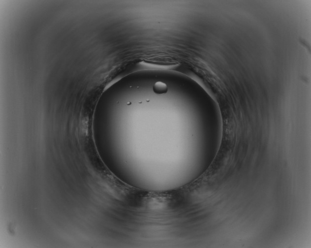 X0000092110368200709121622