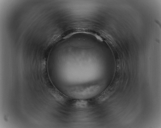 X0000092110369200709121622