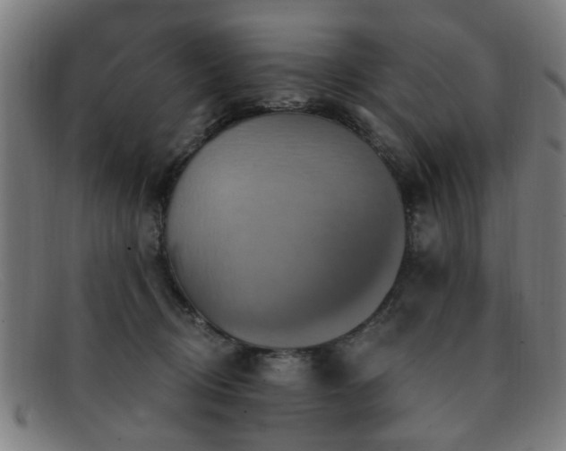 X0000092110370200709121622