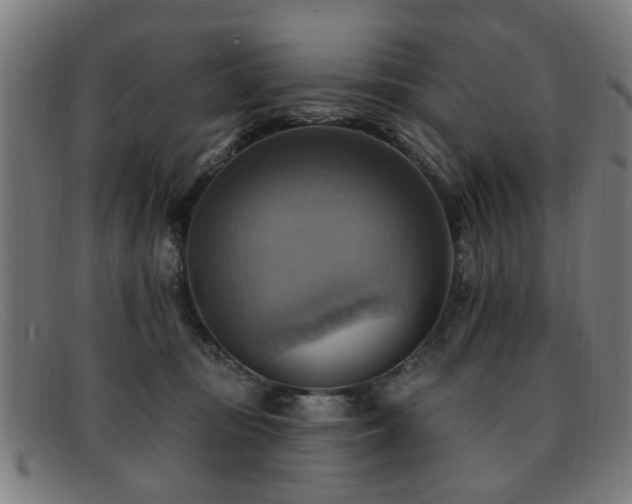 X0000092110371200709121622