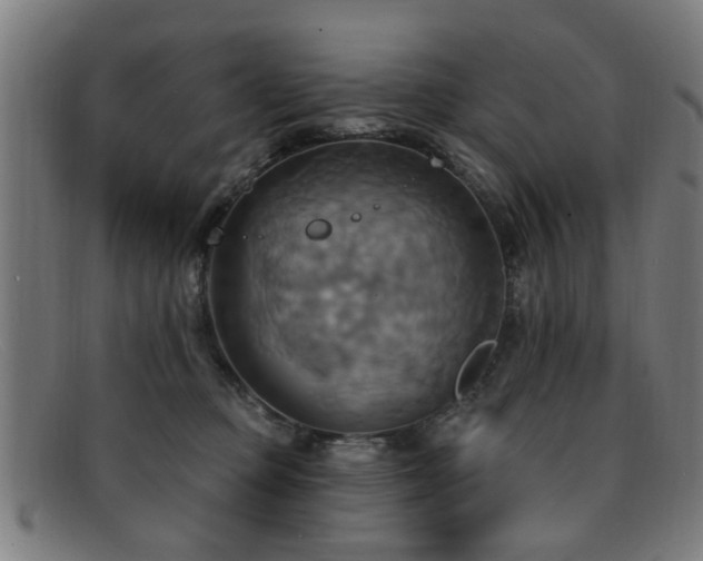 X0000092110373200709121622