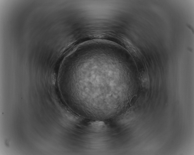 X0000092110374200709121622