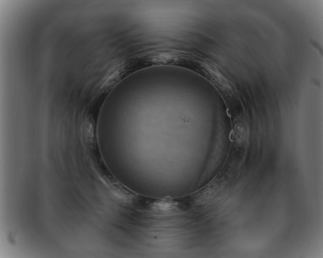 X0000092110375200709121622