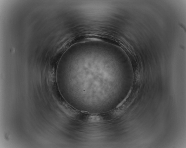 X0000092110376200709121622