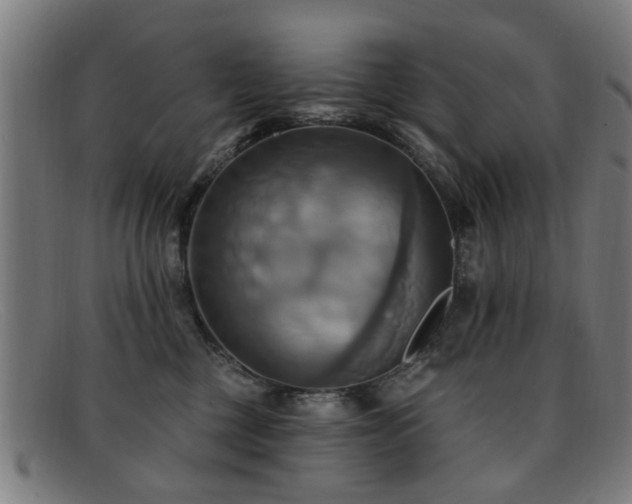 X0000092110377200709121622