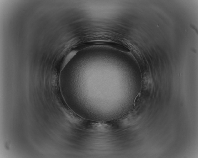 X0000092110379200709121623