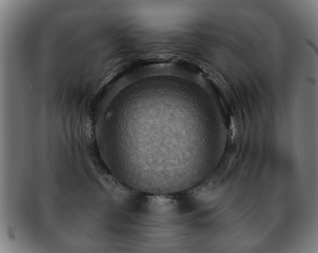 X0000092110380200709121623