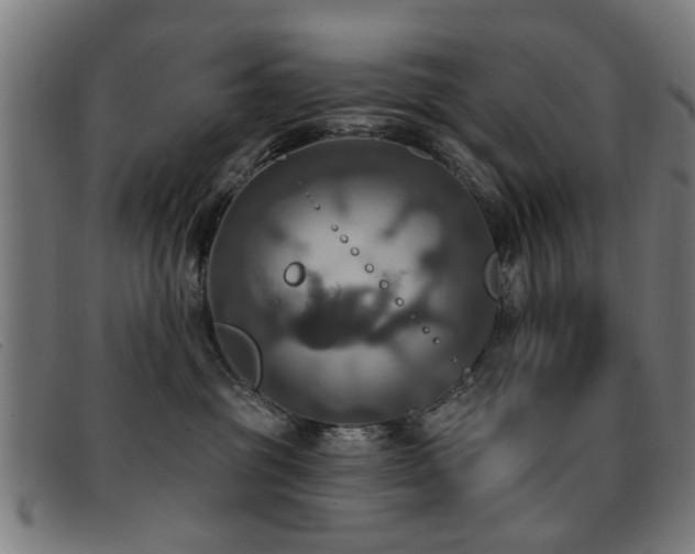 X0000092110381200709121623