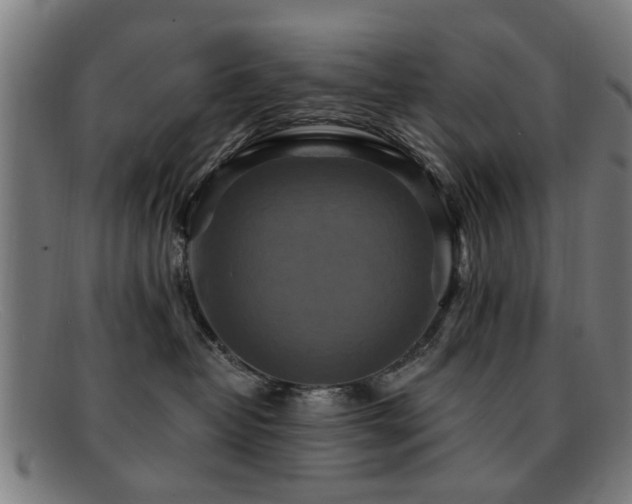 X0000092110382200709121623