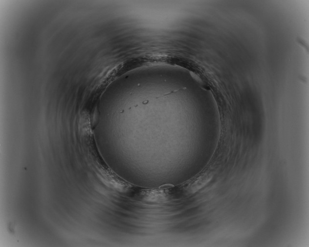 X0000092110384200709121623