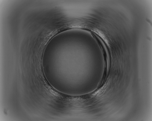 X0000092110385200709121622