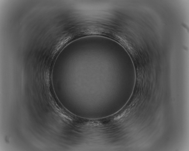 X0000092110386200709121622