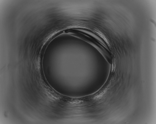 X0000092110387200709121622