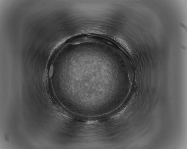 X0000092110388200709121622