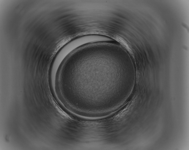 X0000092110389200709121622