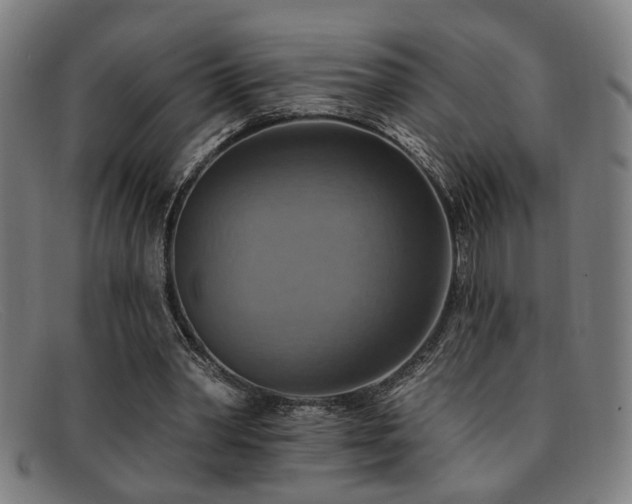 X0000092110390200709121622