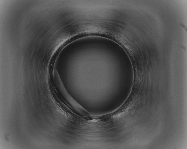 X0000092110391200709121622