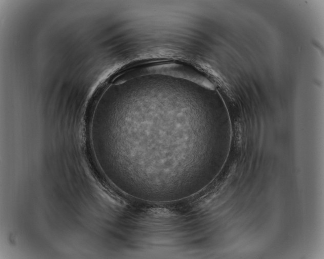 X0000092110392200709121622