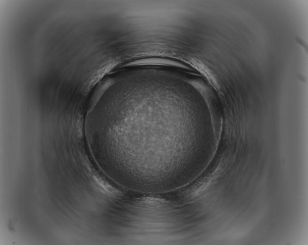 X0000092110393200709121622