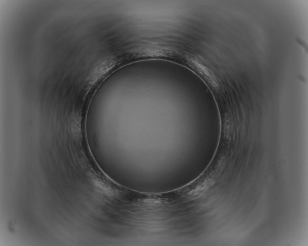 X0000092110394200709121622