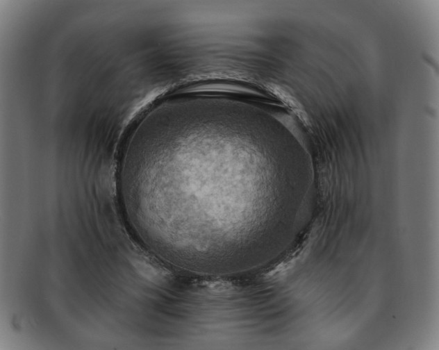 X0000092110395200709121622