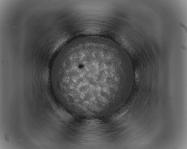 X0000092110396200709121622