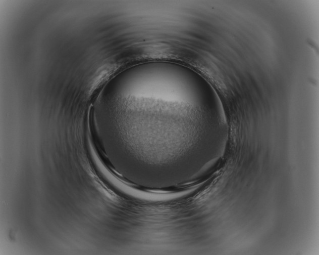 X0000092110397200709121622