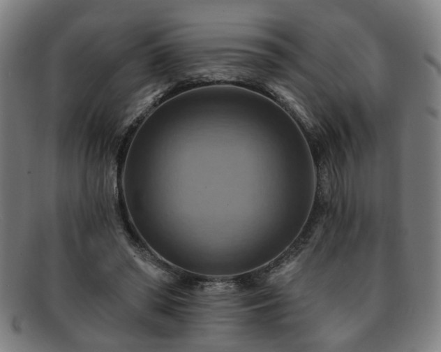 X0000092110398200709121622