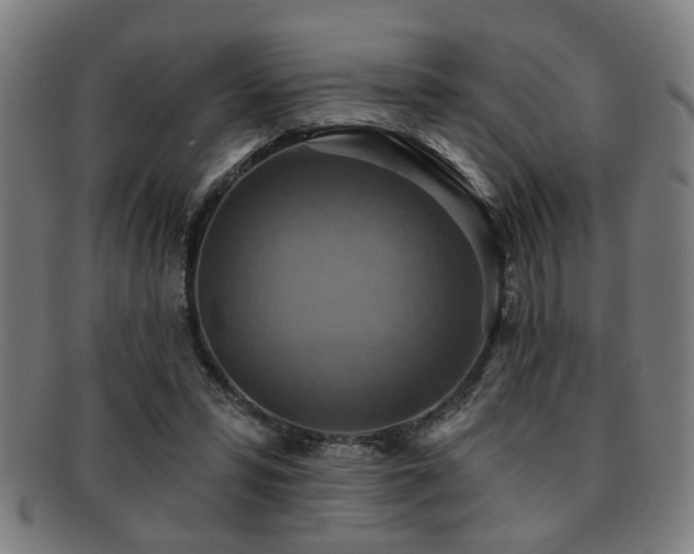 X0000092110399200709121622