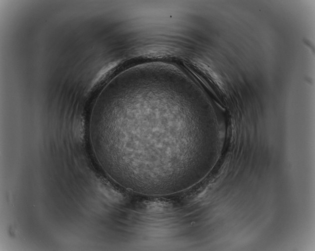 X0000092110400200709121622