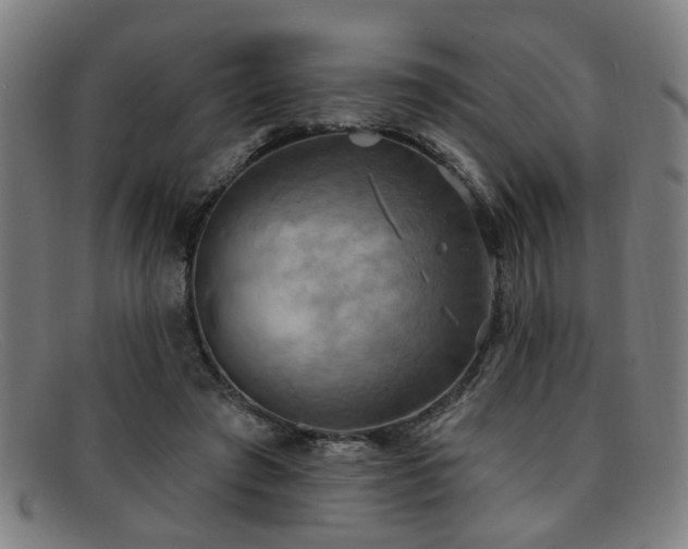 X0000092110401200709121622