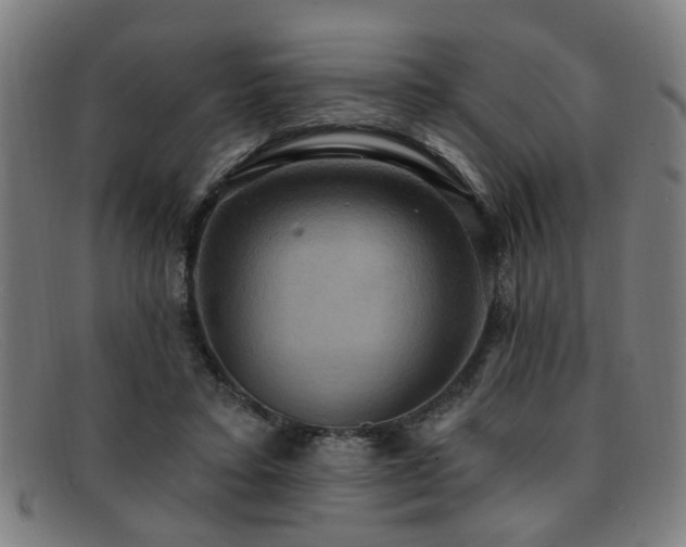 X0000092110403200709121622