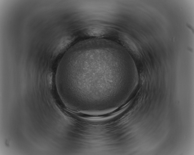 X0000092110404200709121622