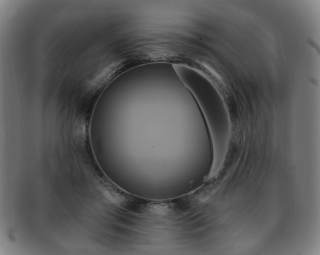 X0000092110405200709121622