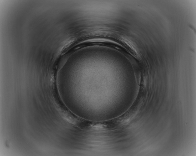 X0000092110407200709121622