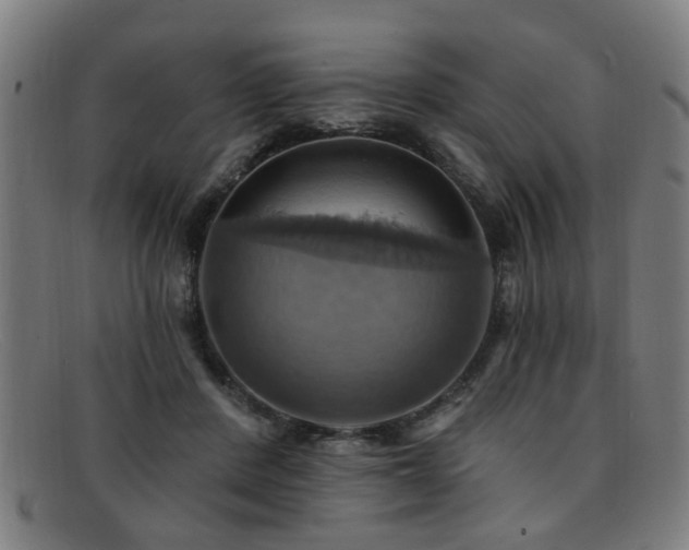 X0000092110408200709121622