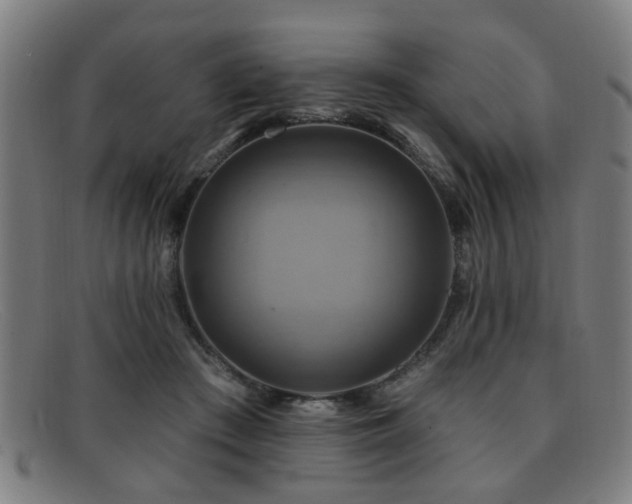 X0000092110409200709121622