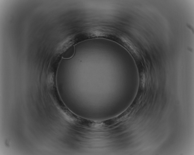 X0000092110410200709121622