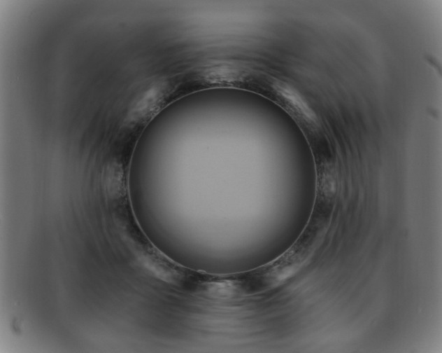 X0000092110411200709121622