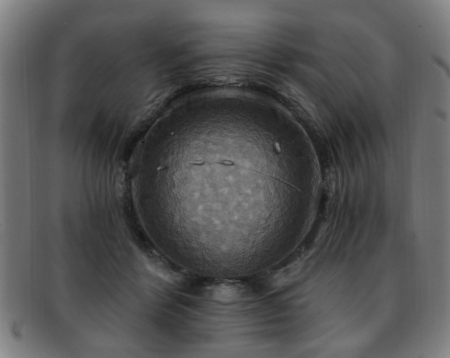 X0000092110412200709121622