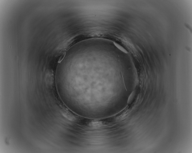 X0000092110413200709121622