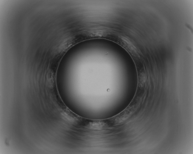 X0000092110414200709121622