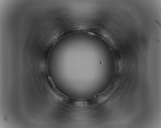 X0000092110415200709121622