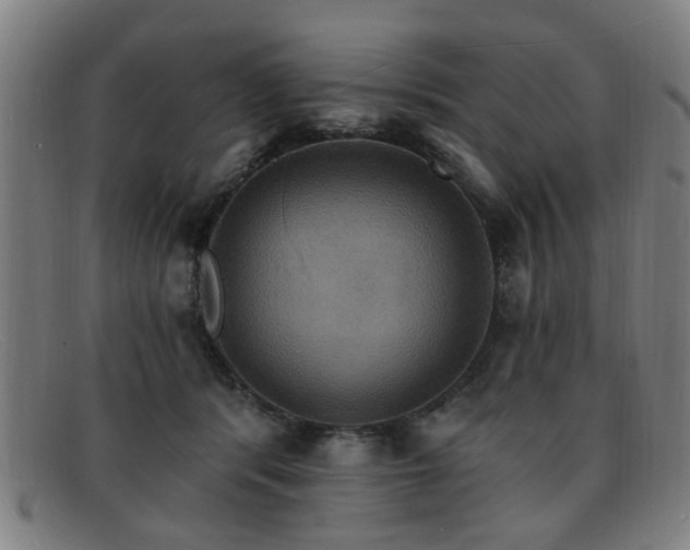 X0000092110416200709121622