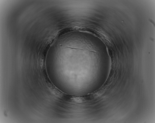 X0000092110417200709121622