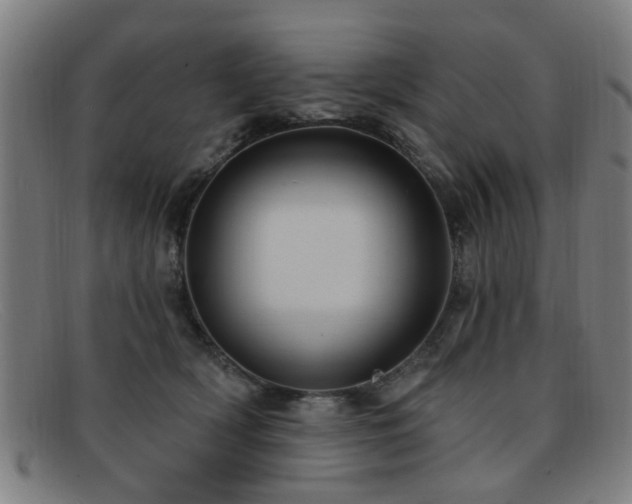 X0000092110418200709121622