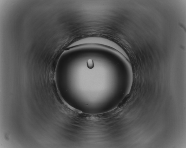 X0000092110419200709121622