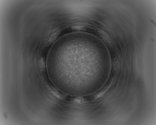 X0000092110420200709121622