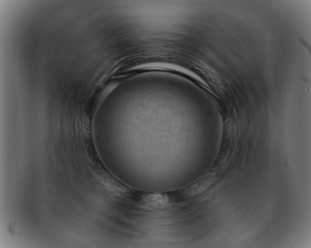 X0000092110421200709121622