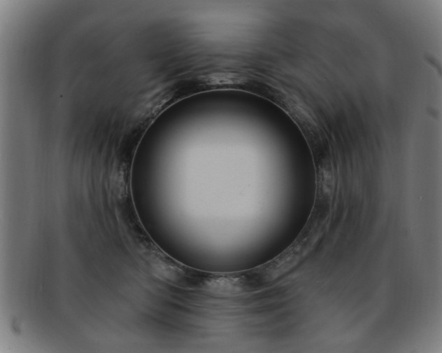 X0000092110422200709121622